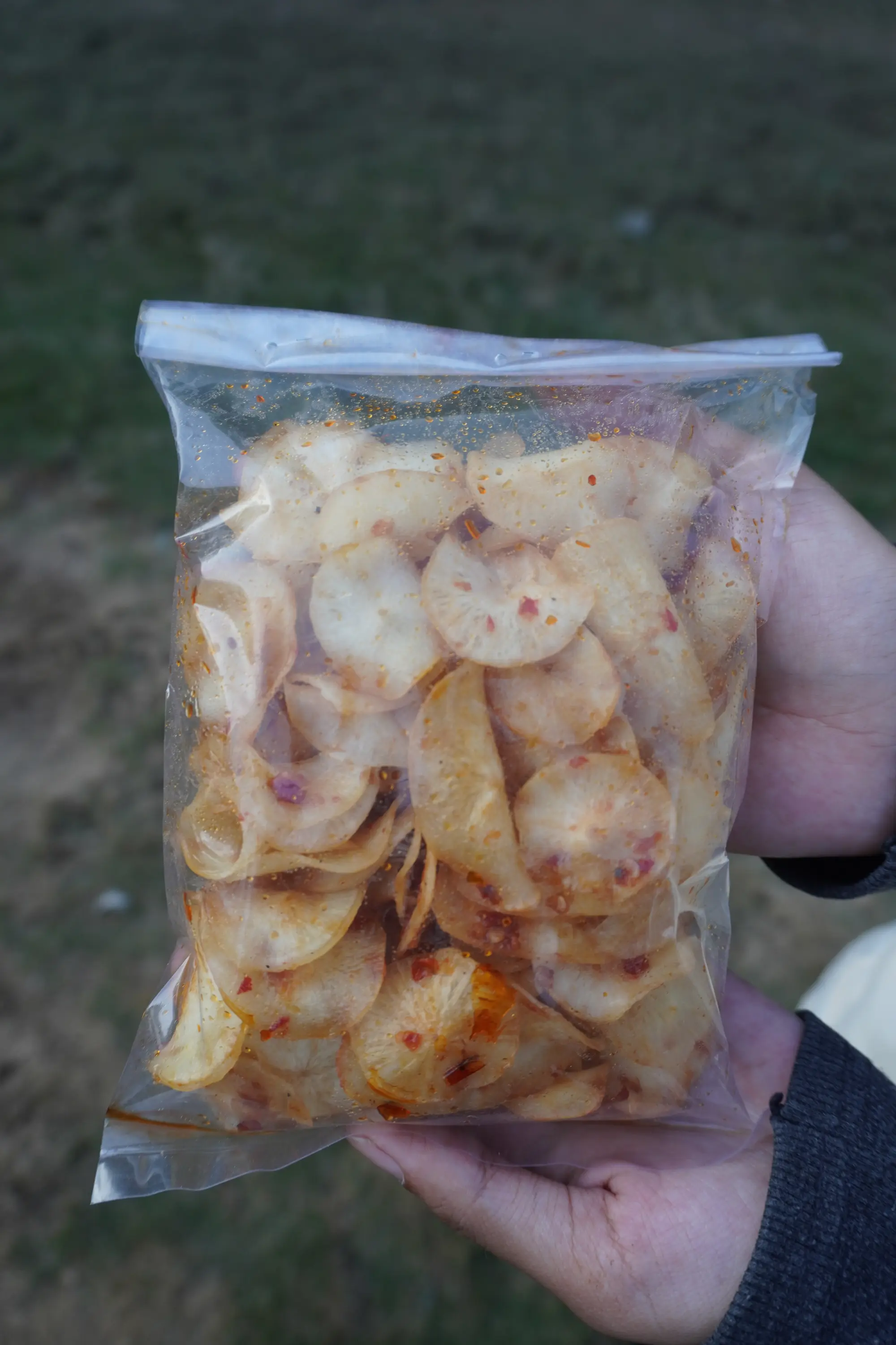 Aneka Keripik & Jajanan Bu Wasya